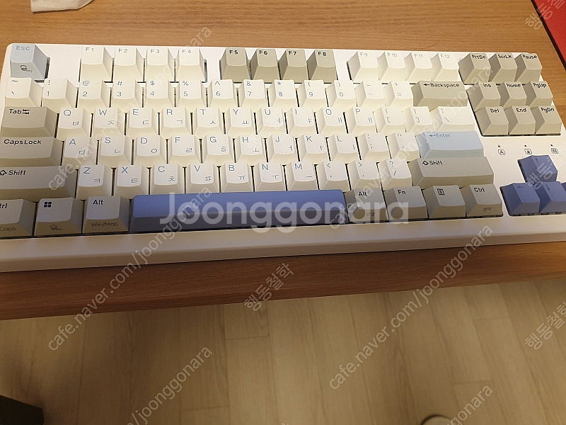 한성 매그니톡스 TFG Magnetox XL--3