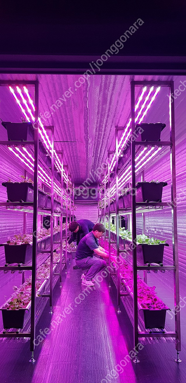 식물성장 LED. 바--9