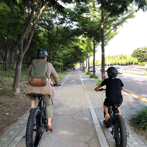 팻바이크 자전거 ( 26, 20인치 ) 2대 팝니다.