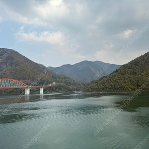 (3월29일) 단양 청송 경주 천안 부여 제천