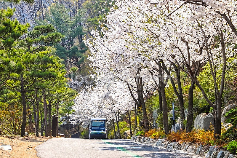 (3월28일29일) 제천 리솜 별장형 포레스트 2박.--0