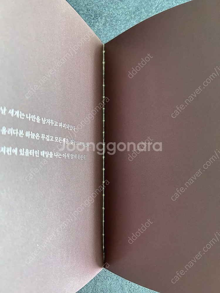 와일드 어댑터 1-6, 사립 아라이소 고등학교 학생회 ...--9