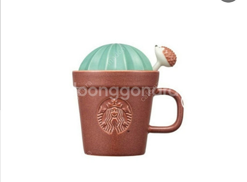 스타벅스 고슴도치 스푼 머그 다육이 머그컵 선인장--0
