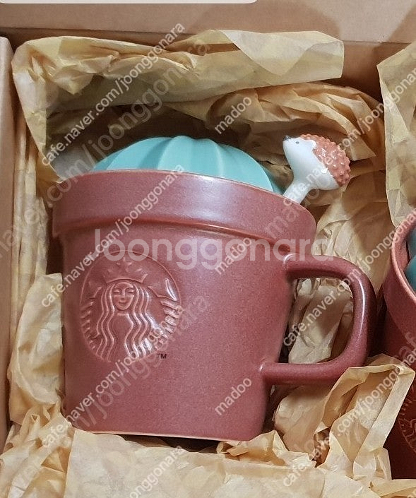 스타벅스 고슴도치 스푼 머그 다육이 머그컵 선인장--1