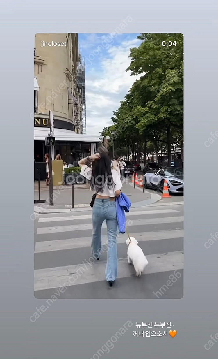 뮤제라 라온컴퍼니 뉴부진 라지--0