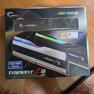 RGB DDR5 TRIDENT Z5 RGB 32GB x 2 팝니다. (총64GB)