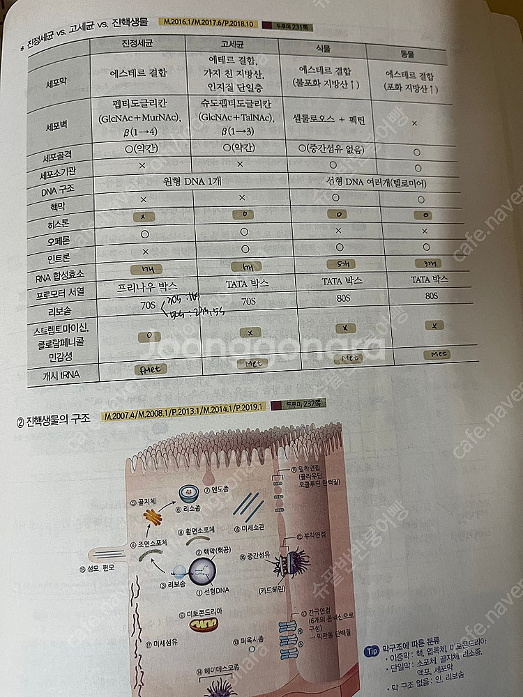 peet 피트 박선우 생물학 써머리 두루미--1