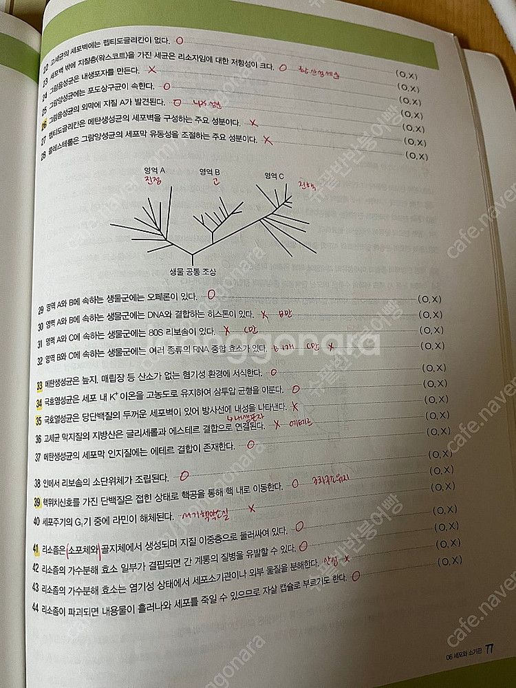 peet 피트 박선우 생물학 써머리 두루미--2