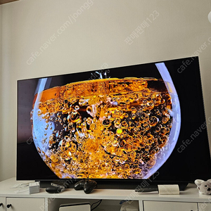 55인치 LG OLED TV (OLED55C1QNB) 판매합니다.