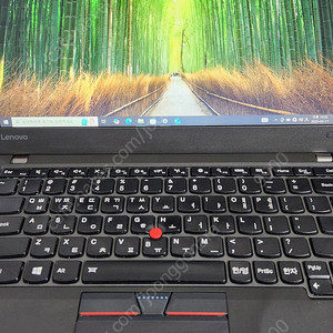 씽크패드 Thinkpad X260 판매합니다 + 씽크패드 마우스
