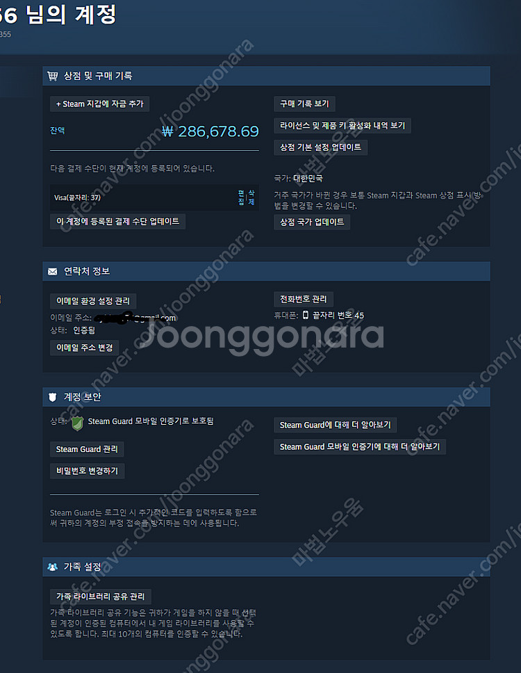 스팀 선물식 80% 판매--0
