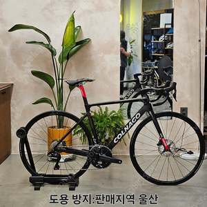 콜나고 V4RS 반차 구성