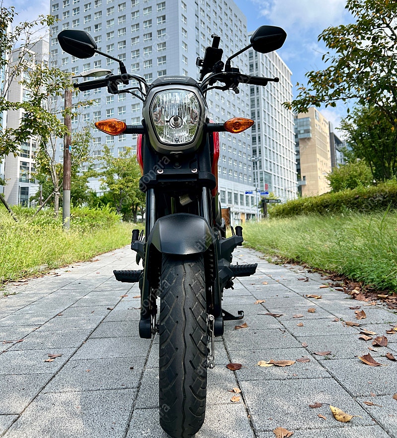 cbr250rr (17년식/폐지완)--0
