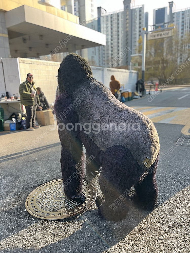 한사토이 대형 킹콩 고릴라 인형--1