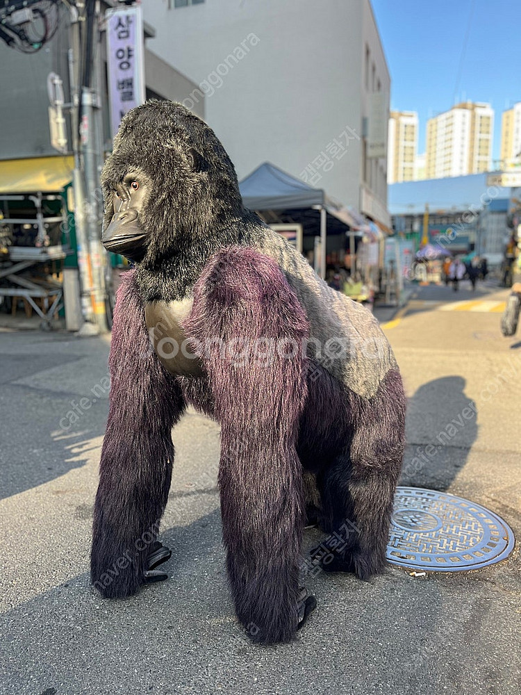 한사토이 대형 킹콩 고릴라 인형--0
