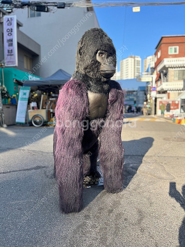 한사토이 대형 킹콩 고릴라 인형--5