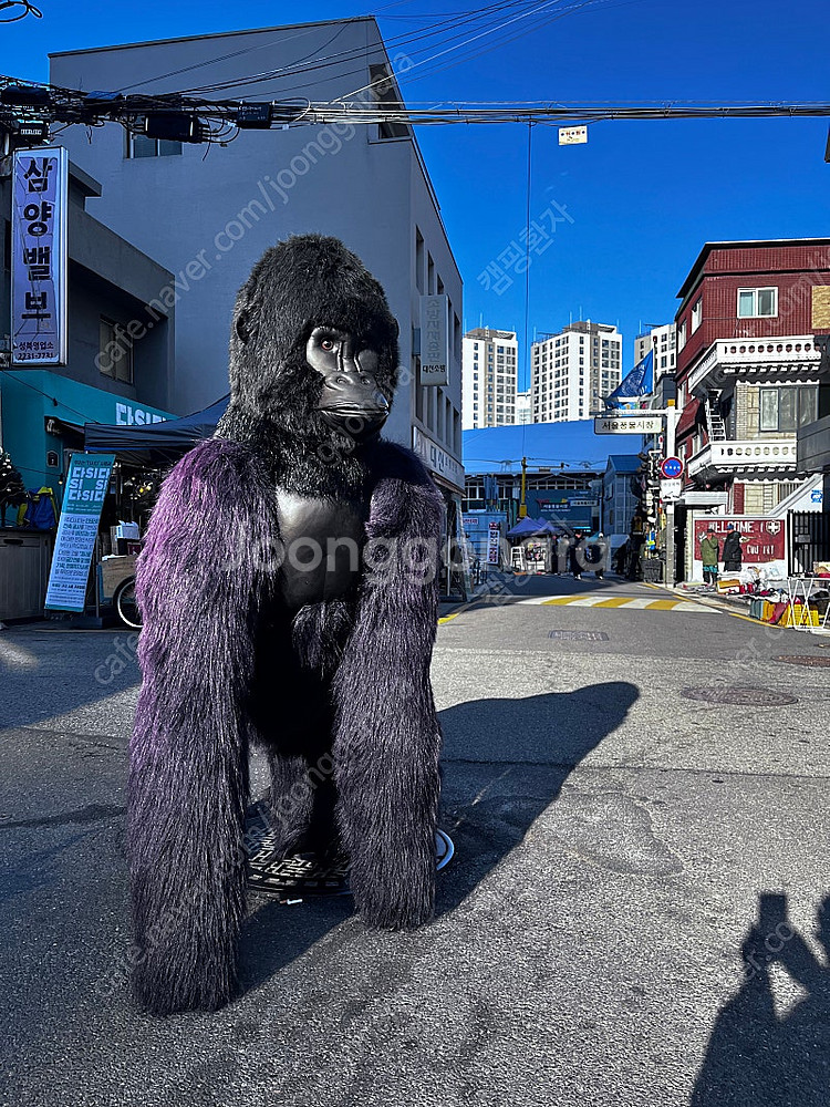 한사토이 대형 킹콩 고릴라 인형--6