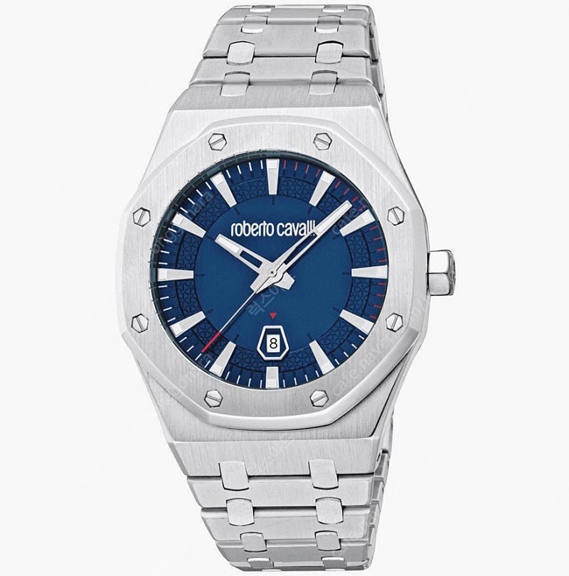 로베르토카발리 클래식 남성 시계 Classic men's Watch