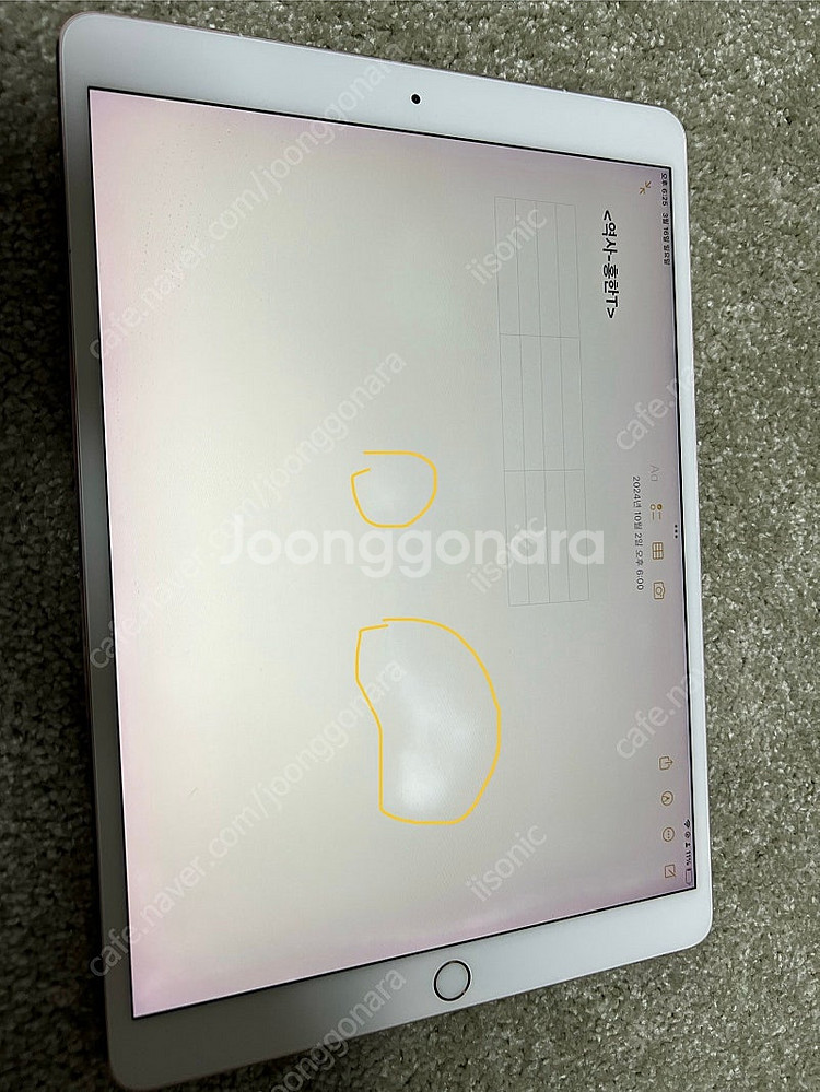 아이패드 프로 10.5. 256기가. 셀룰러 애플펜슬 ...--9