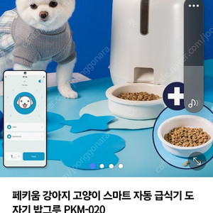 페키움 강아지 고양이 자동 급식기 PKM-020 판매합니다.