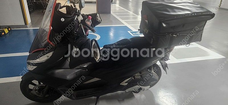 pcx125 20년식--2
