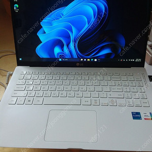 LG그램 i5-1135G7 15ZB-GP50ML SSD512