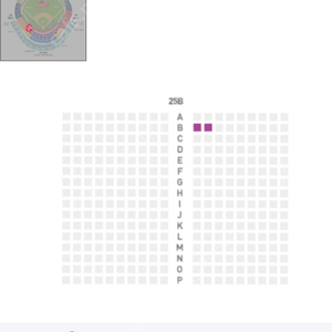 (정가양도) 25일 롯데 vs SSG 3루 덕아웃상단석 25블럭 통로 2연석 양도합니다