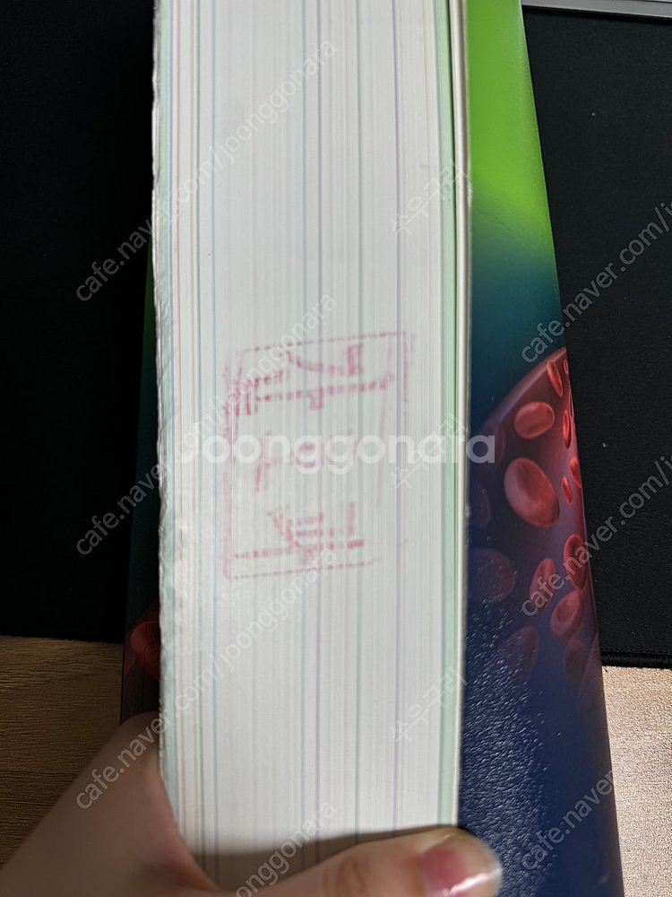 성인간호학 인체생리학 생명윤리 간호학개론 인간성장발달 ...--2
