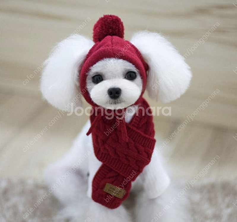 강아지 니트 목도리--0