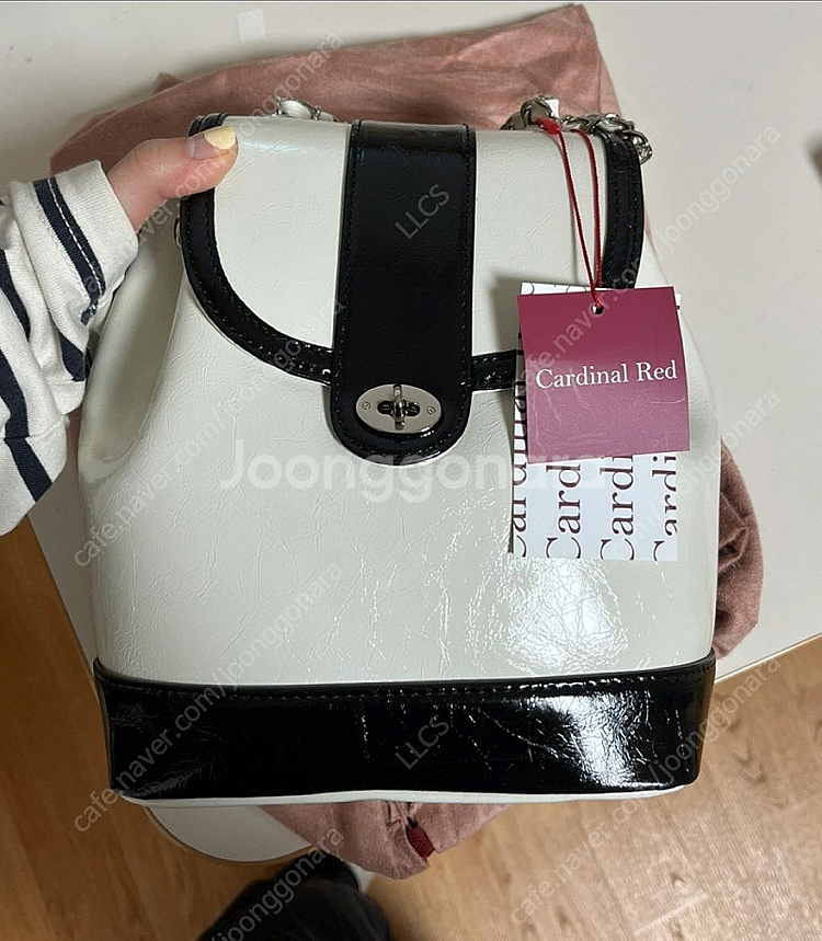카디널레드 하우아백--0