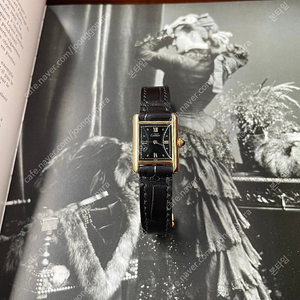 Cartier 까르띠에 탱크머스트 21mm 스몰 버메일 쿼츠 가죽 빈티지