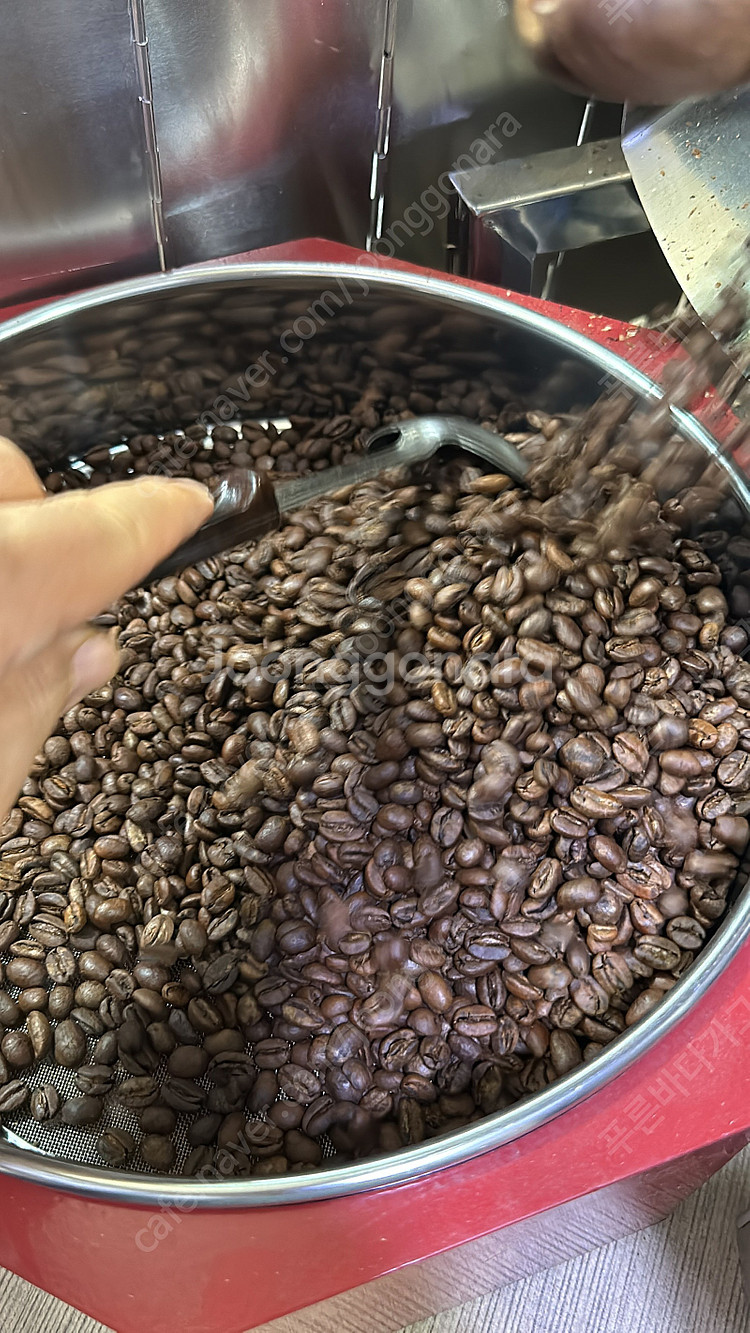 이지스터 1kg (구형/레드) 도시가스용 반열풍식 커피...--2