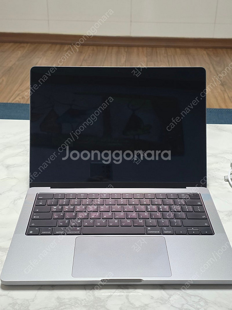 맥북프로 m1 14인치 16g기가 1테라 1tb 스그 ...--0