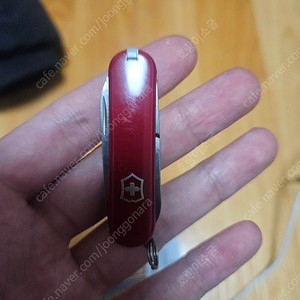 빅토리녹스 클래식 sd