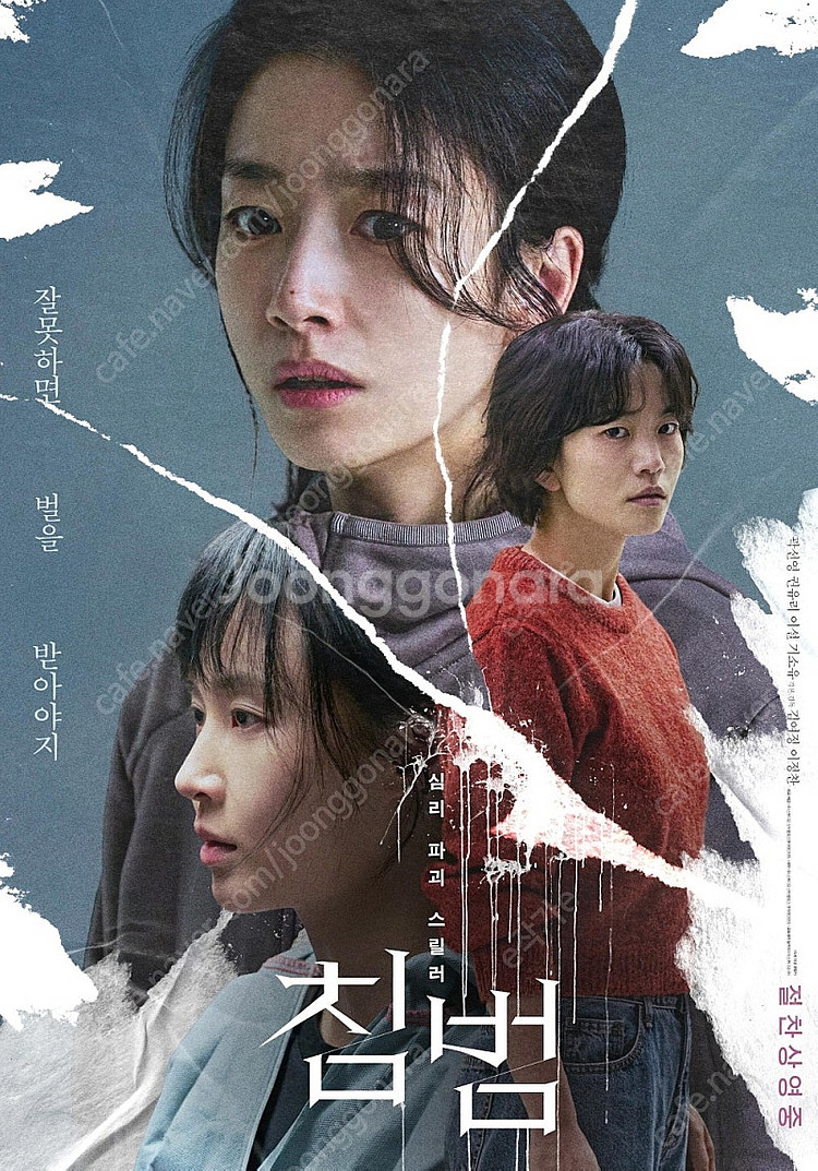 CGV 메가박스 롯데시네마 영화예매 침범3천/화이트버드...--0