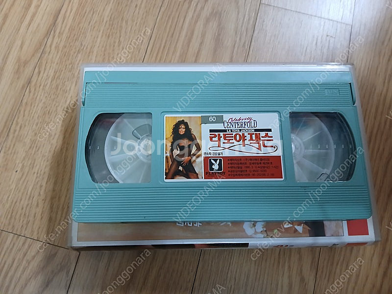 마이클 잭슨 누나 라토야 잭슨 플레이보이 셀레브리티 센--2