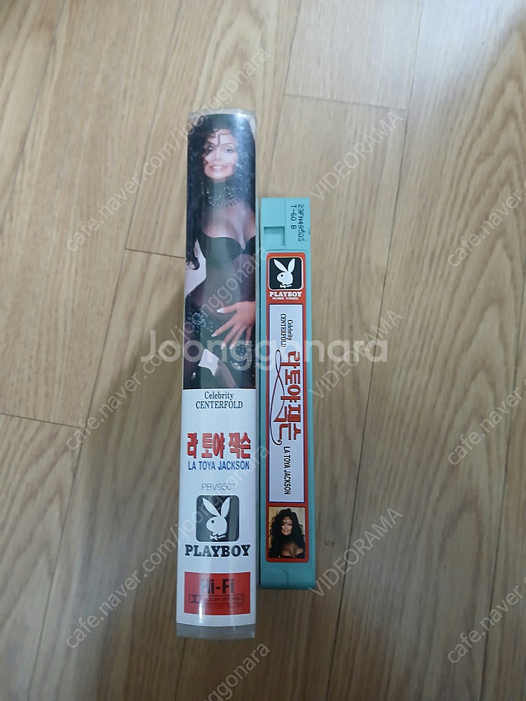 마이클 잭슨 누나 라토야 잭슨 플레이보이 셀레브리티 센--3
