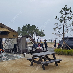 힉스 츄레라, 텐트 팝니다