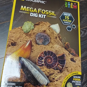 내셔널지오그래픽 화석 발굴 키트 fossil dig kit