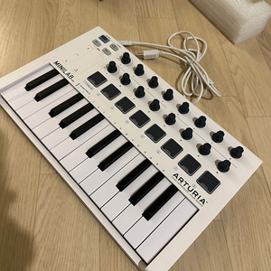 Arturia Mini Lab MK2 (미니랩2)