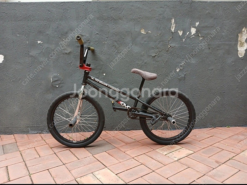 bmx 세인트 마틴 풀 커스텀 플랫랜드--0