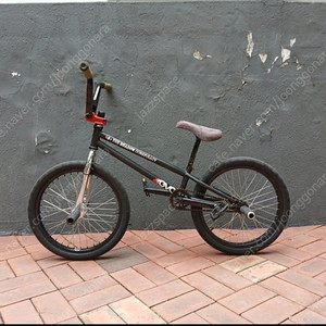 bmx 세인트 마틴 풀 커스텀 플랫랜드