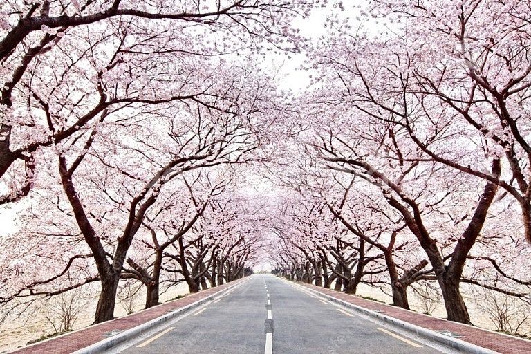 (3월 22일/29일) 제천 리솜 가실분!!--0