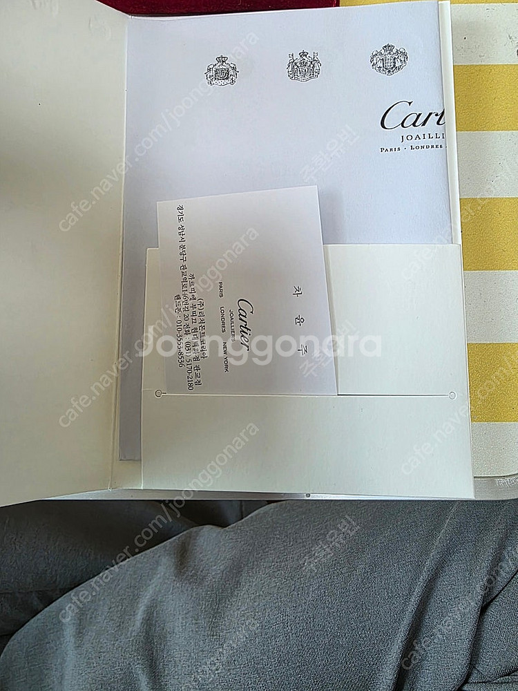 까르띠에산토스콤비--9