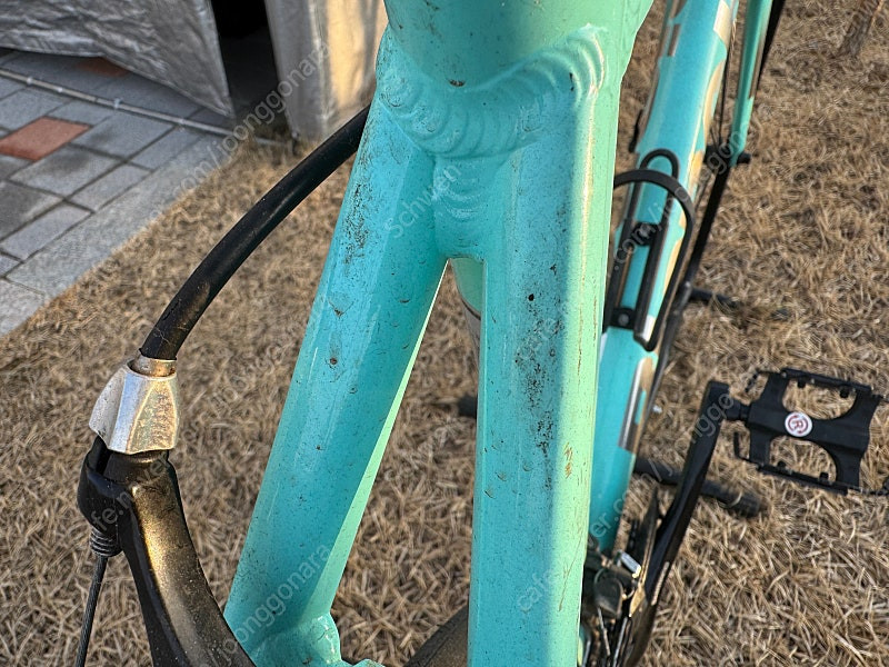 비앙키 니로네7 105 판매합니다--2