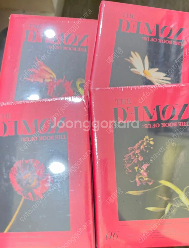 데이식스 엠디 굿즈 포카 포토홀더 데니멀즈 쁘띠멀즈 앉...--3