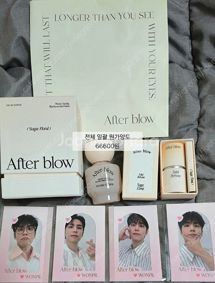 데이식스 엠디 굿즈 포카 포토홀더 데니멀즈 쁘띠멀즈 앉...--4