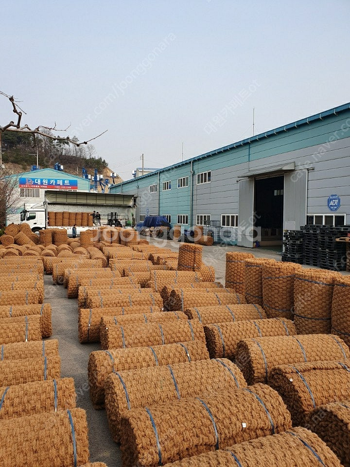 친환경소재인 야자매트 코코매트(베트남 수입품)600폭 ...--6