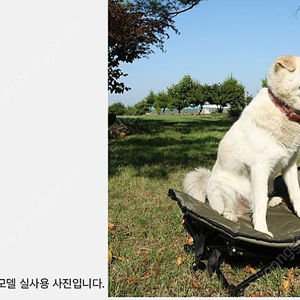 펫 체어 (강아지 침대 -중견까지 사용)- 신상품2, 매장전시상품-1
