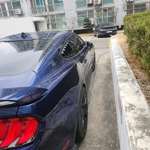머스탱에코부스트2.3판매합니다~보증살아있어요